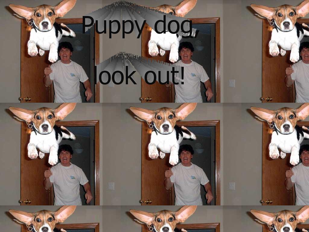 puppylookout