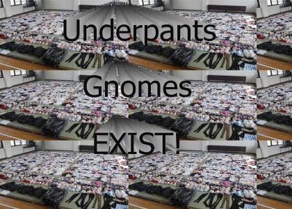 Underpants Gnomes Exist