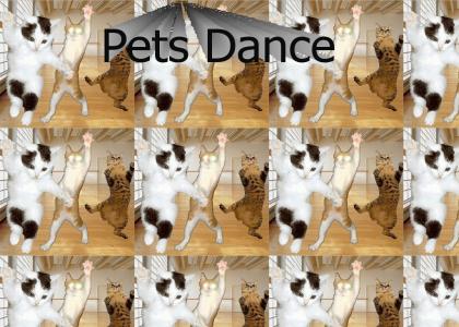 Pets Dance