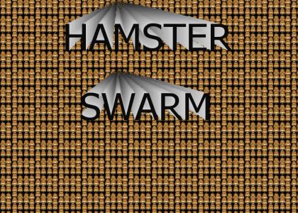 HAMSTER SWARM.