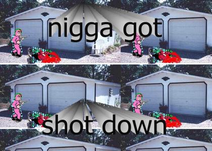 nigga got shot down