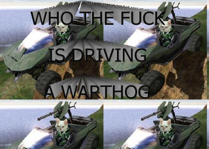 who the fuck is driving a warthog