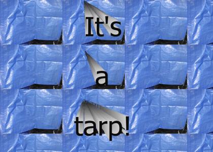 It's a tarp!