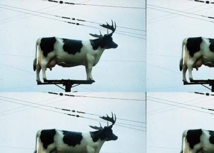 Cow with antlers on top of a pole!