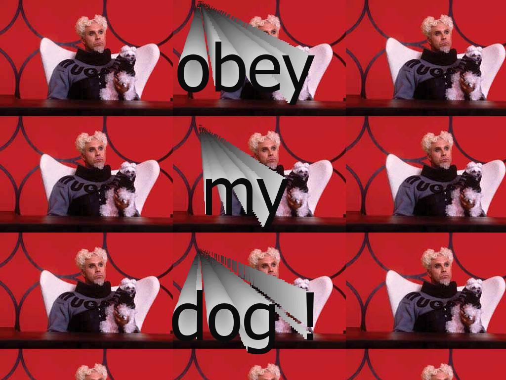 obeymydog