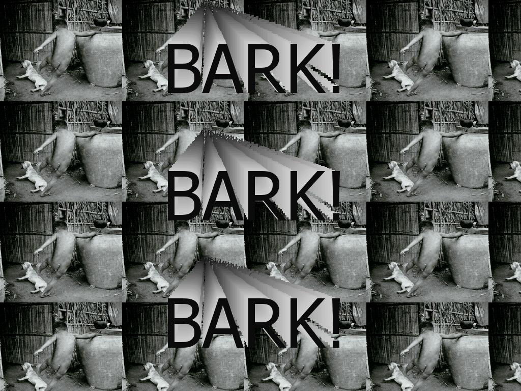 barkbarkbarkbark