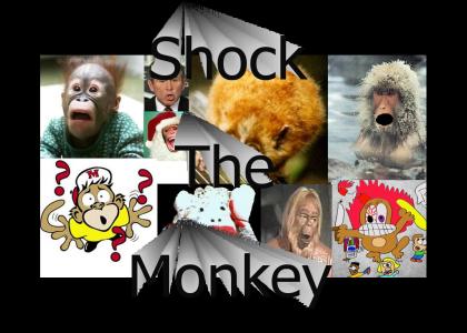 Ozzy hates monkeys