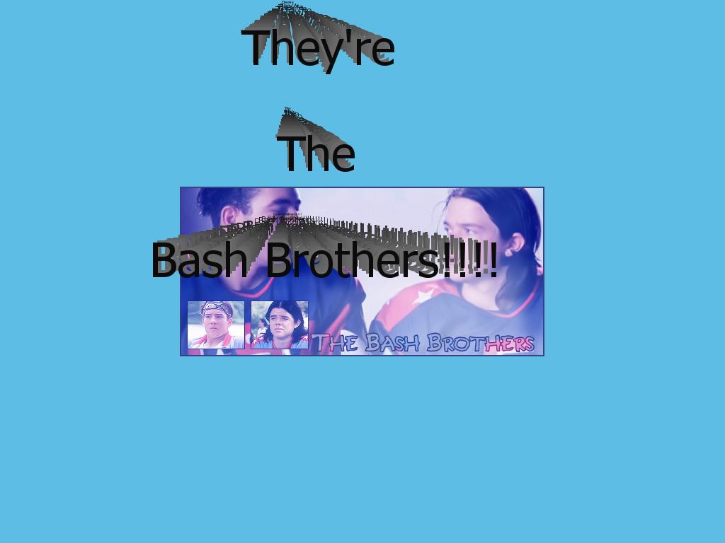 bashbrothers