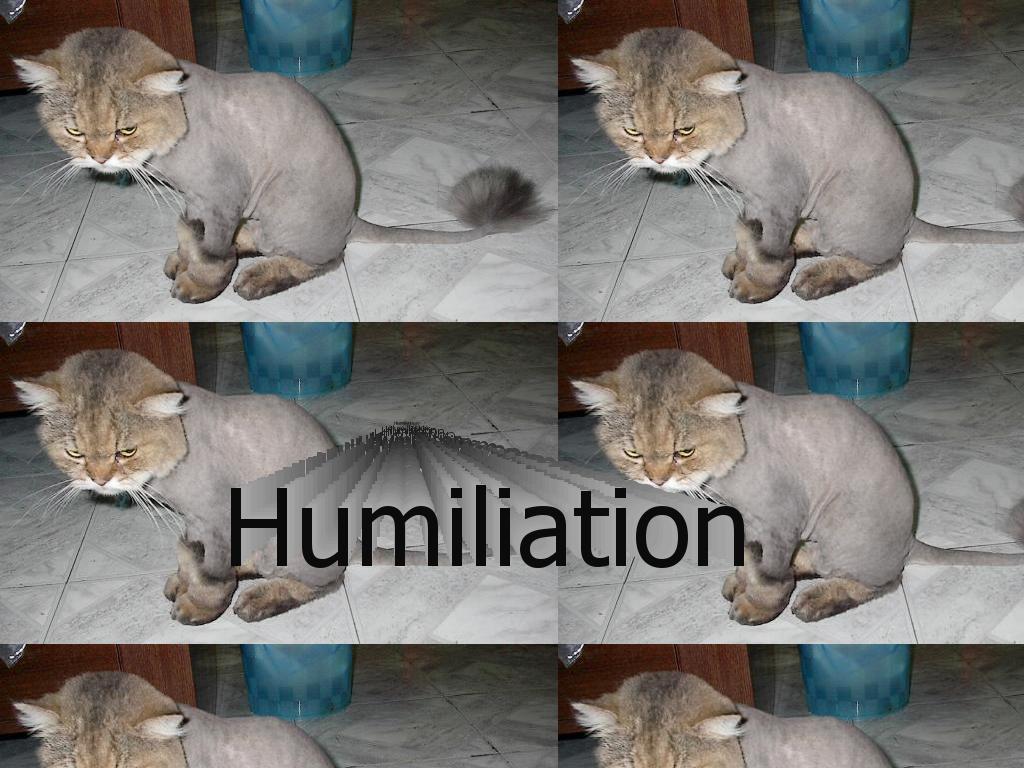 KittyHumiliation
