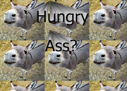 HungryDonkey