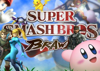 SSB Brawl!!!