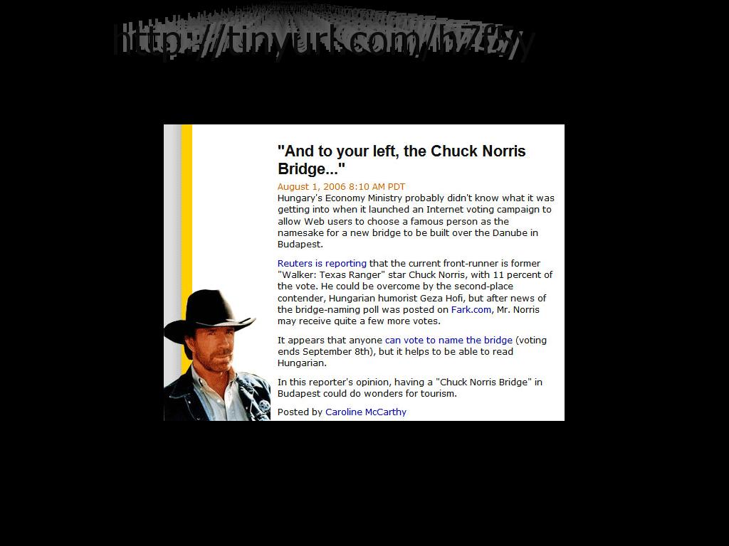 chucknorrisbridgevote