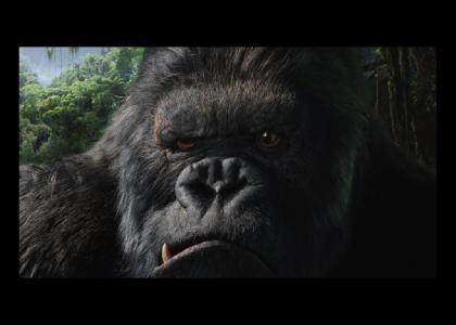 king kong stares into your soul