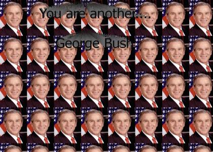Mr Bush...
