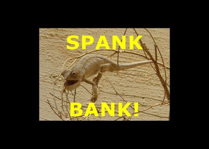 SPANK BANK!