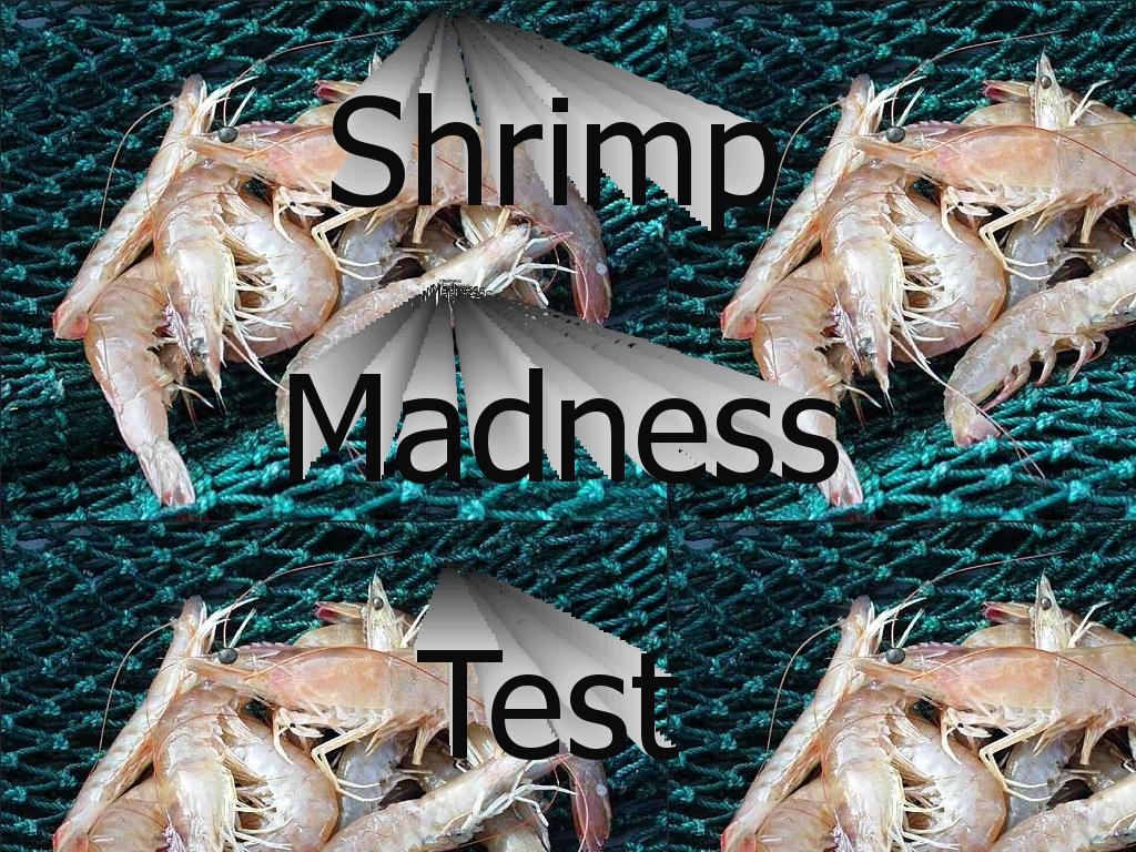 shrimpmadnesstest