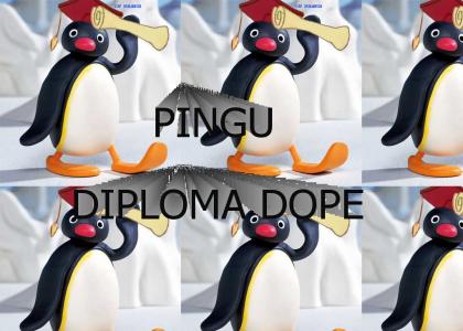 Pingu Diploma Dope