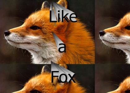 Like a fox!