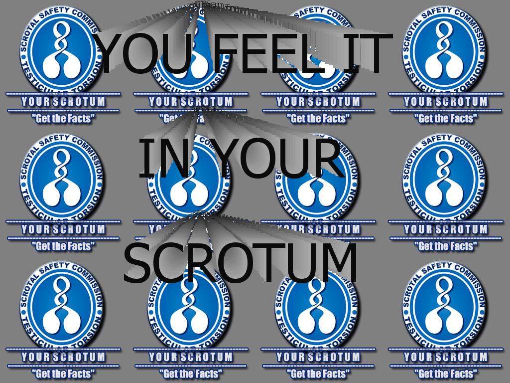 feelitinyourscrotum