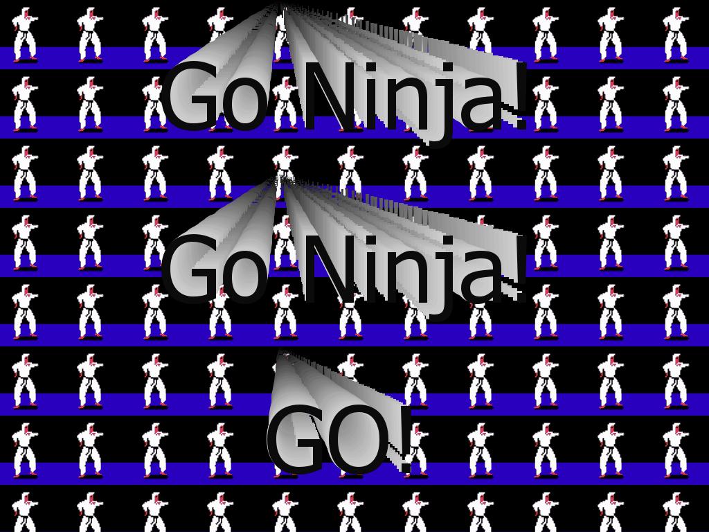 ninjawurkzit