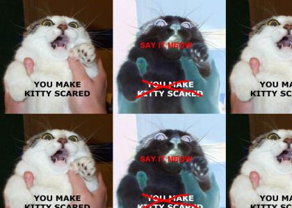 you make kitty scared (say it meow)