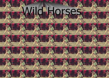 Wild Horses