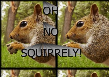 SQUIRREL!