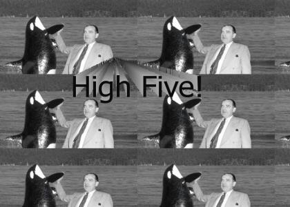 Joe McCarthy High Fives a Whale