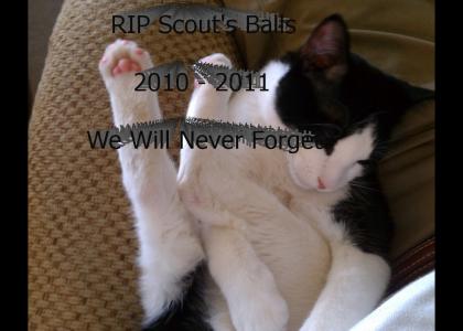 RIP scout's balls  -- 2010 - 2011