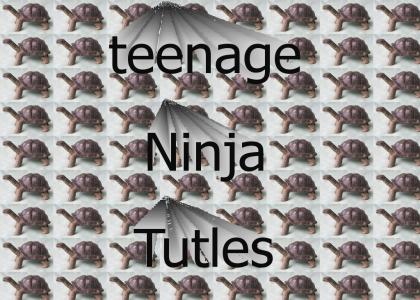 teenage turtles