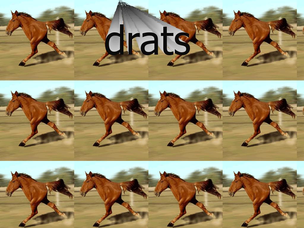 drats