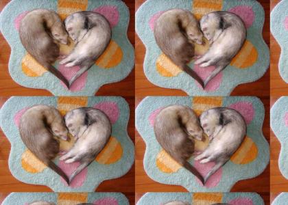 Ferret Heart