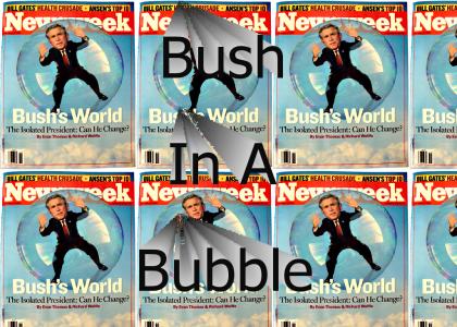 Bush In A Bubble