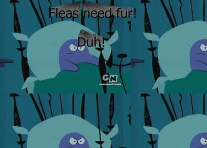 Fleas need fur. Duh.