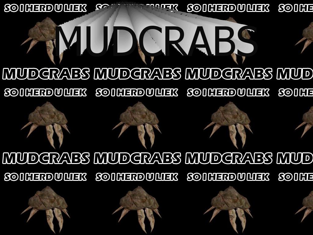 mudcrabs