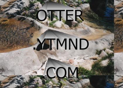 otter.ytmnd.com