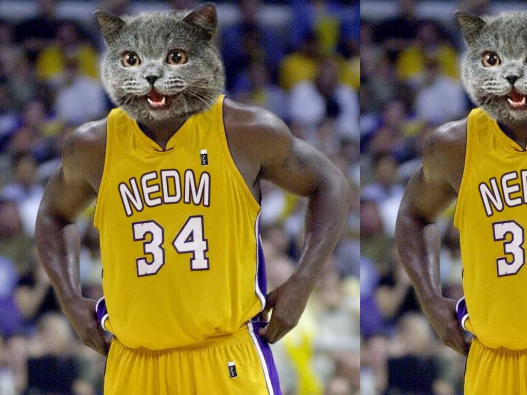 nedmshaq