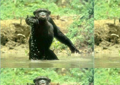 Black man shares water