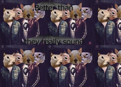 Nickelback Squirrels