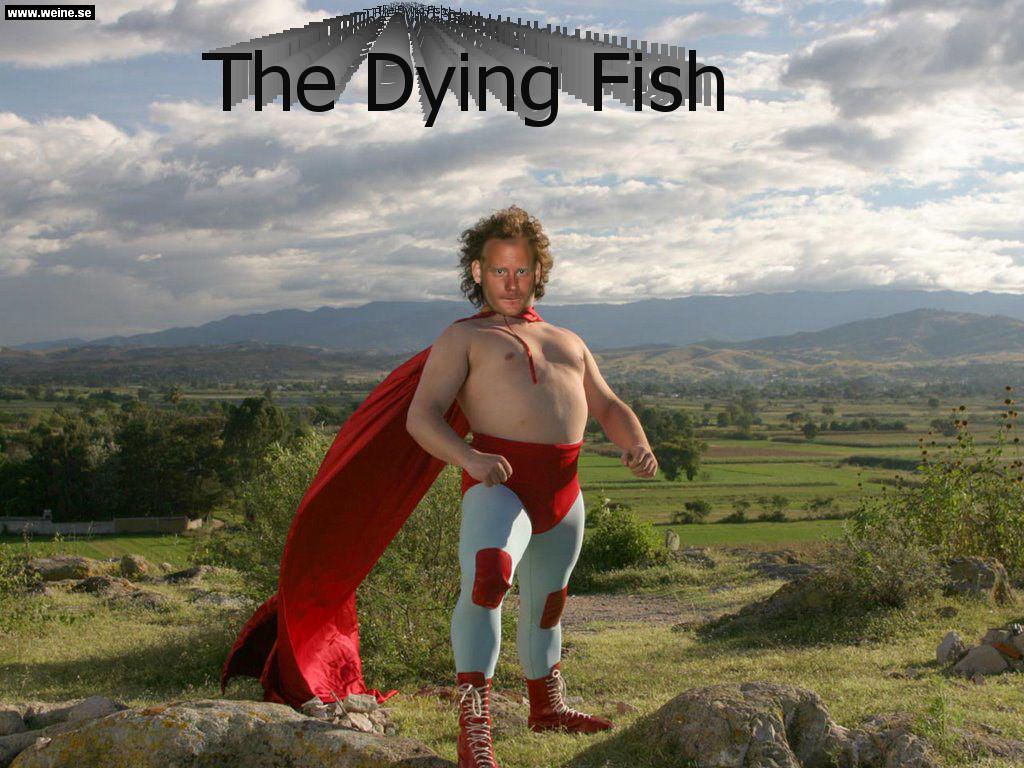 dyingfish