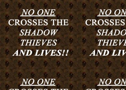 No One Crosses the Shadow Thieves and Lives!