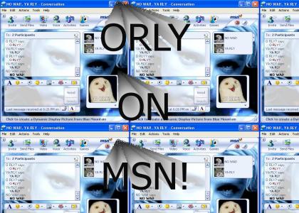 ORLY ON MSN
