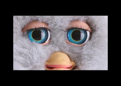 Furby Stares into YOUR Soul!