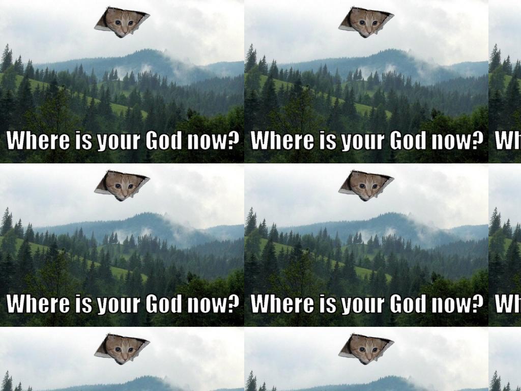 catisgod