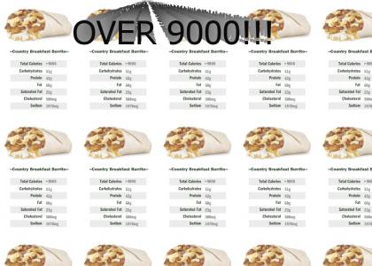 Hardees Country Breakfast Burrito: OVER 9000