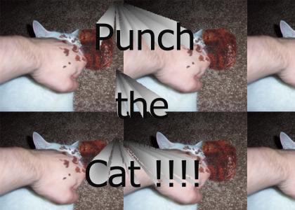Punch the Cat !!!