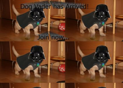 Toby 'The Dog' Vader