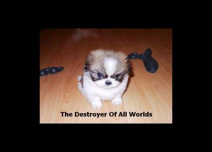 Fluffy: The Destroyer of all Worlds