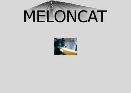 MelonCat