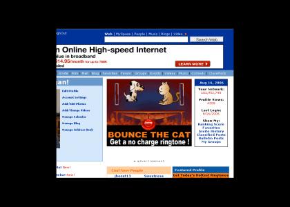 Cat Burning on Myspace.com??